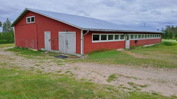 6h + s  Ranua – foto 3