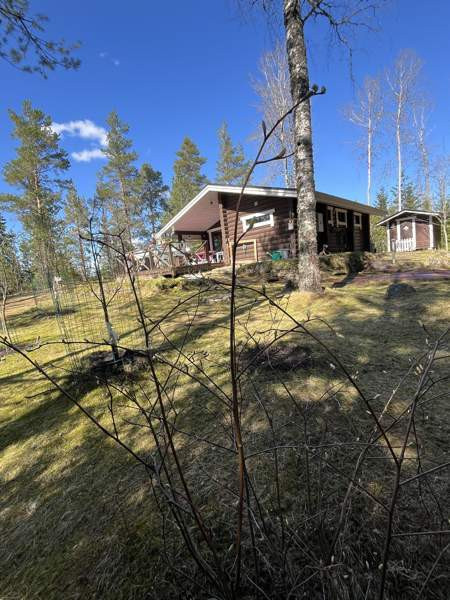 2h + s  Tammela – foto 1