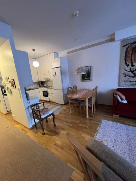 2h + kk + s + p  Lapinlahti - valokuva 6