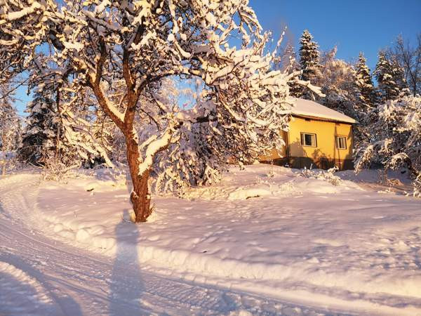 6h  Hamina - valokuva 3