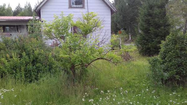 3h + sauna,pesuh.  Kuopio – foto 1