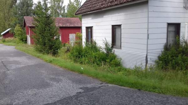 3h + sauna,pesuh.  Kuopio – foto 4