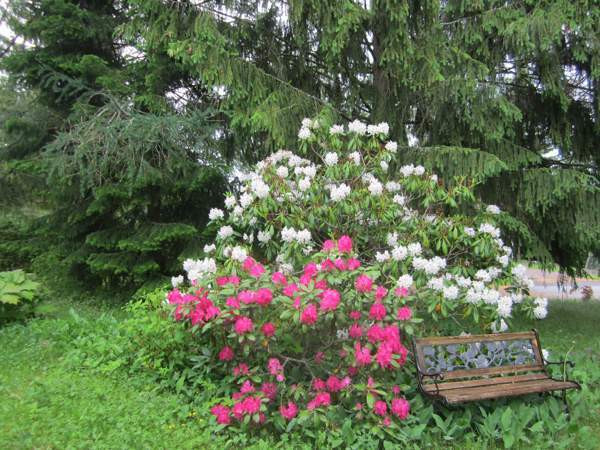 3 mh, oh, keittiö+ruokailutila, takkah, ph, sauna,  Ruokolahti - изображение 6