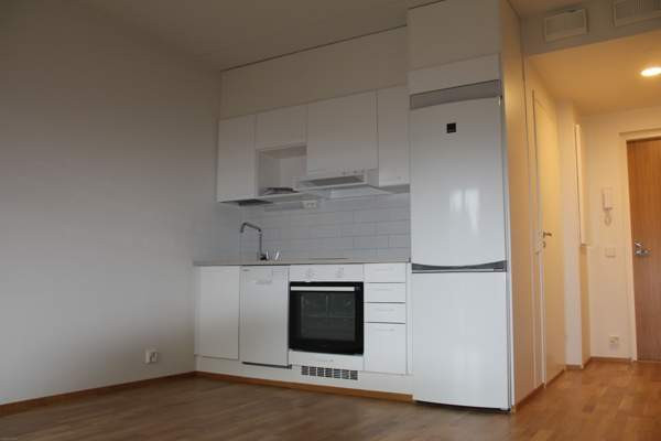 1h  Jyväskylä - valokuva 1