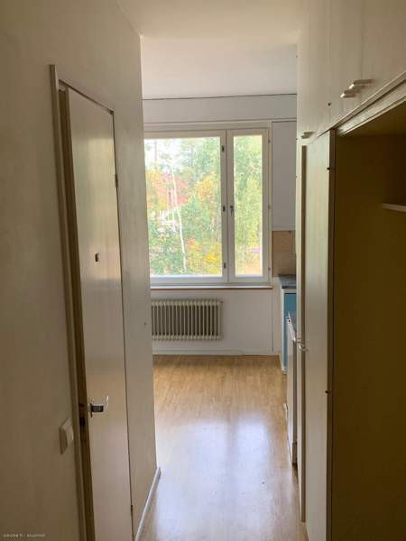 2h+k+kph+p  Chukotskiy Avtonomnyy Okrug - photo 3