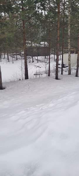 4h +k+ s  Vihti - photo 3