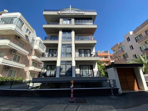 2h + p  Ардон - изображение 1