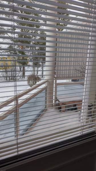 2h + k + s + p  Syevyerodonets'k - valokuva 4