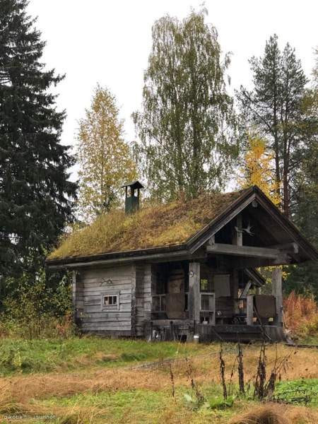 20h + s + p  Ranua – foto 4