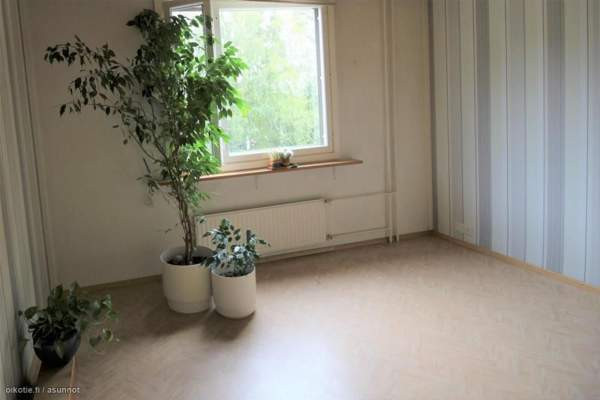 4h + k + p  Nokia – foto 7