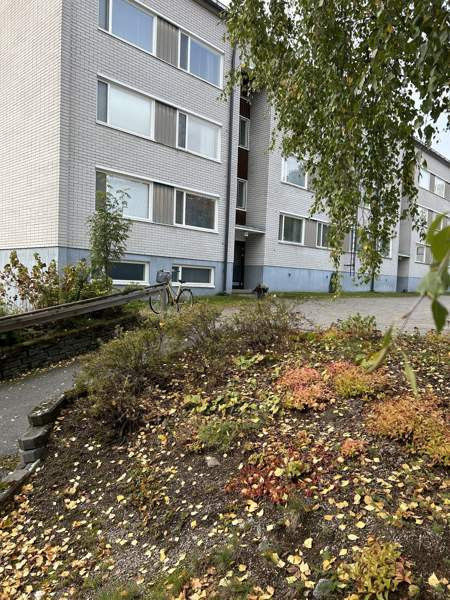 1h + kk + p  Äänekoski - photo 1