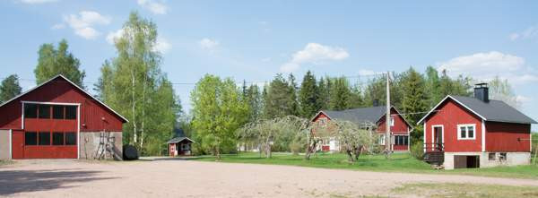 7h +k +kph+2 wc:tä,veranta,kellari,ullakkotilat  Lovisa - photo 4