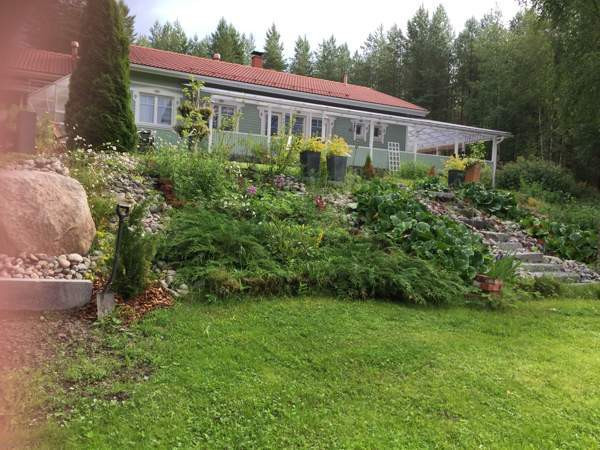 5h + avok + s  Viitasaari - valokuva 5