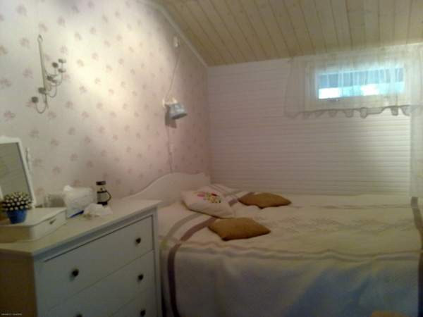 1h + kk + s + parvi + kesähuoneet  Haemeenlinna - photo 4