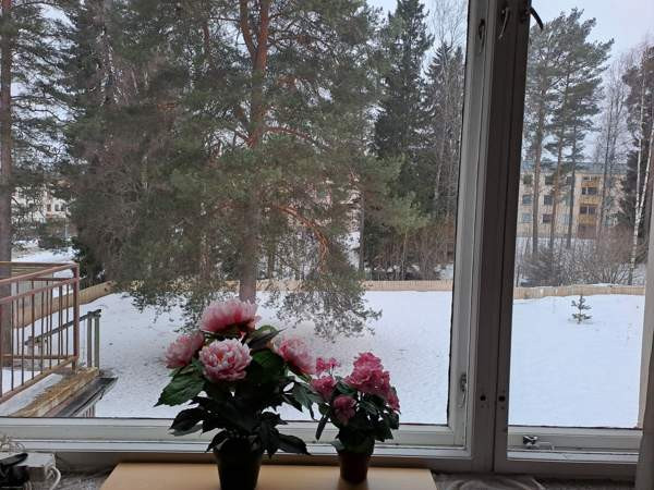 2h + k + vh + kph + parveke  Hämeenkyrö - photo 4