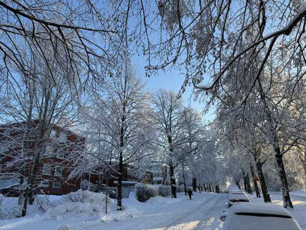 3h + k + p  Helsinki - photo 4