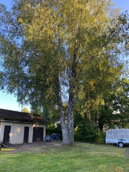 4h, keittiö, saunaosasto takkahuoneineen, kodinhoi  Raasepori - photo 3