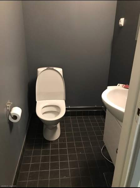 4h + k + s  Vesanto - изображение 3