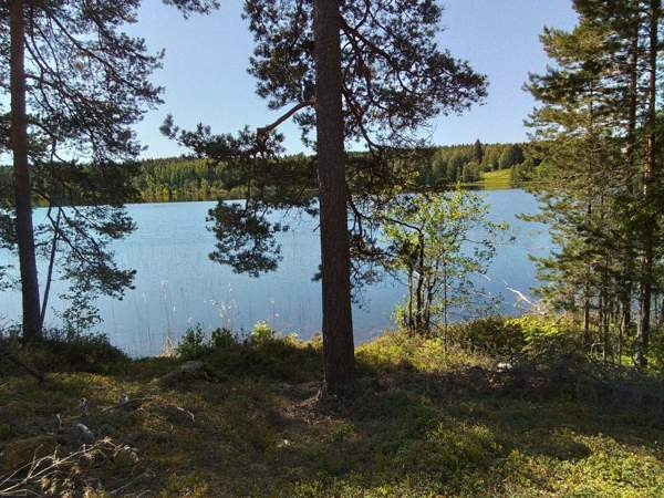 5h + k + s + kuisti  Tuusniemi - valokuva 3