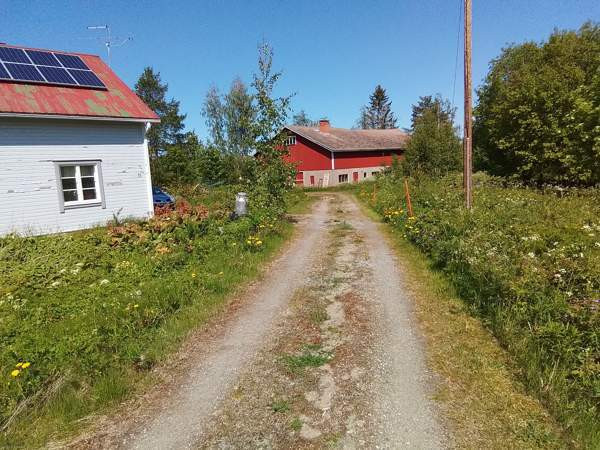 5h + k + s + kuisti  Tuusniemi - valokuva 4