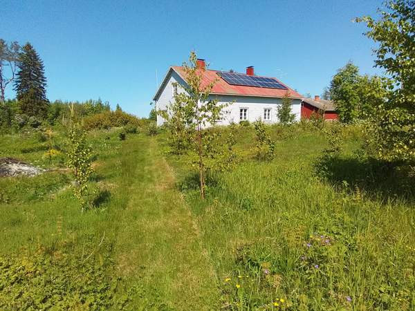 5h + k + s + kuisti  Tuusniemi - valokuva 2