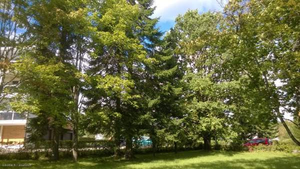 2. kerr. 3h+k+kph/wc, 1h+kk+wc 1. kerr. 3h+kk+wc,  Heinävesi - изображение 3