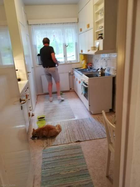 3h  Рованиеми - изображение 1