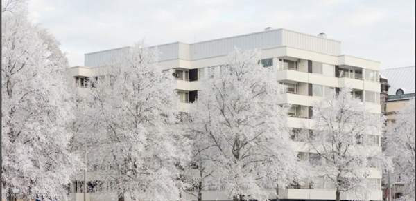 1h + kk  Turtkul - valokuva 5