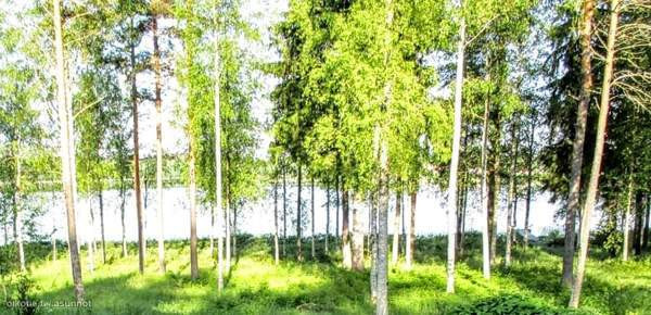 2h + k + s  Karstula - valokuva 3