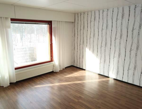 2h + k + s  Karstula - valokuva 2