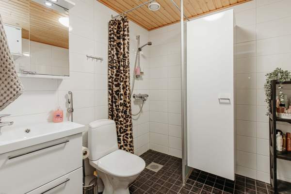 2h + k + p  Сейняйоки - изображение 7