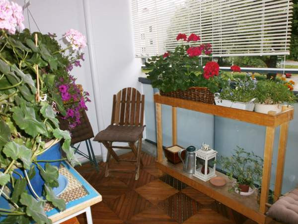 3h + s + p  Куопио - изображение 4