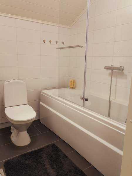 6h + avok + s + p  Orivesi - valokuva 8