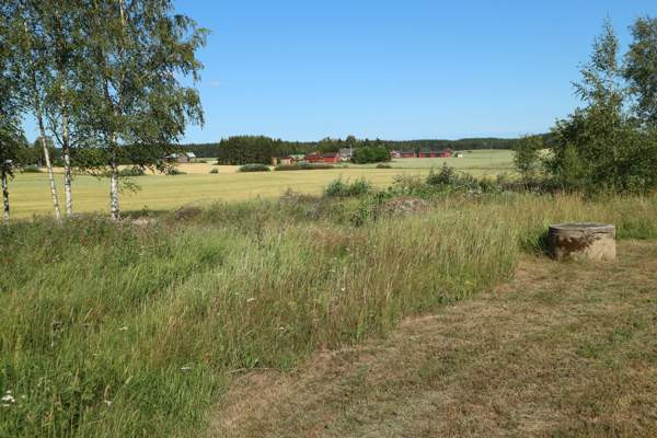 4h + k + s  Punkalaidun - photo 1