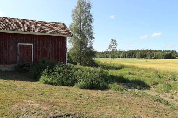 4h + k + s  Punkalaidun - photo 5