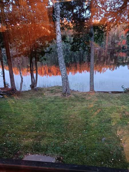 2h + s  Mikkeli - valokuva 2