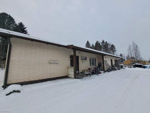 4h + k + s  Virrat - valokuva 1