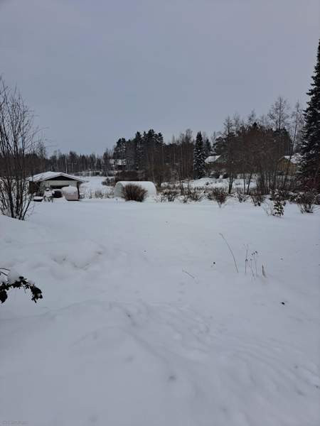 4h + k + s  Virrat - valokuva 3