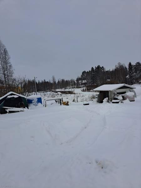 4h + k + s  Virrat - valokuva 4