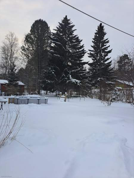 4h + k + s  Virrat - valokuva 8