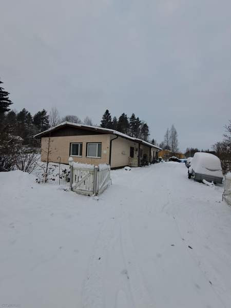 4h + k + s  Virrat - valokuva 2