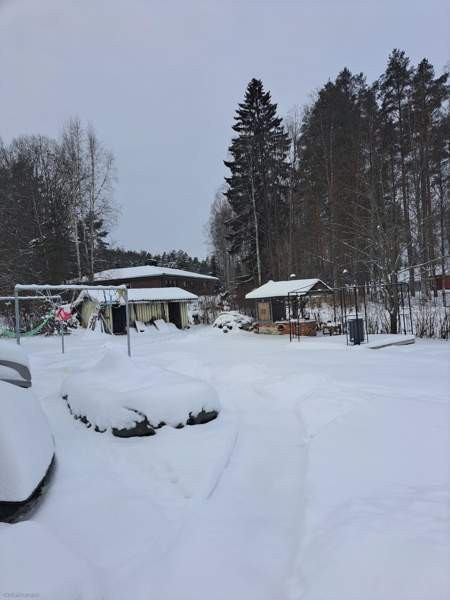 4h + k + s  Virrat - valokuva 6