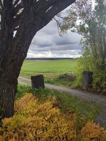 4h + s  Ikaalinen - valokuva 1