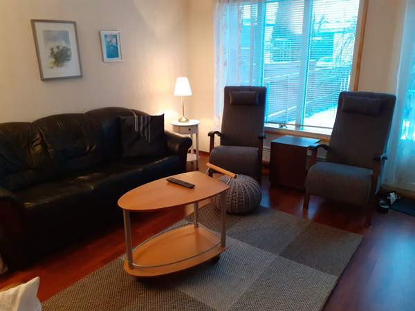 3h+ k + s  Zaporiz'ka Oblast' - photo 4