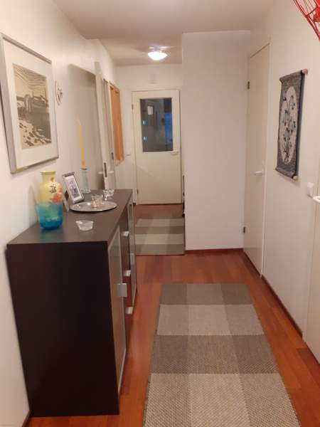 3h+ k + s  Zaporiz'ka Oblast' - photo 5