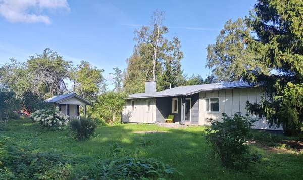 5h + k + s  Лохья - изображение 2