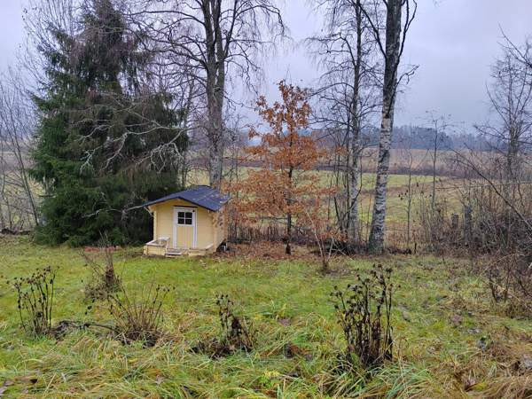 5h + k + s  Лохья - изображение 5