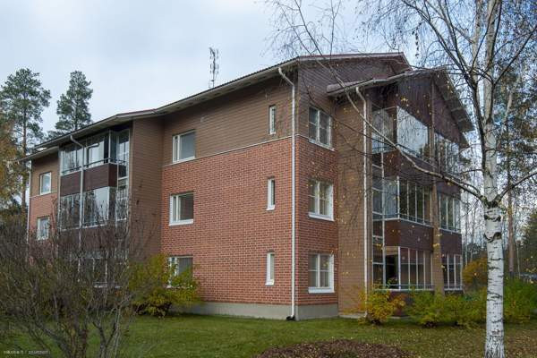 2h + avok + s + p  Kontiolahti - photo 2