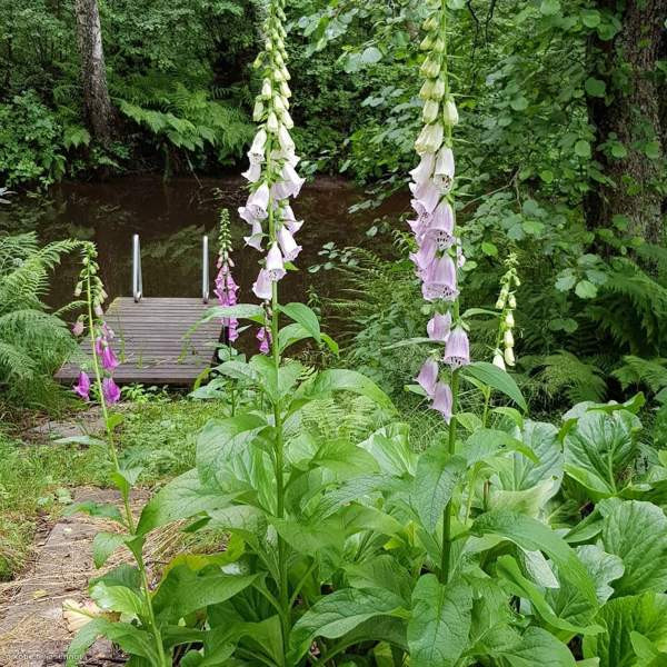 2h+k  Хямеэнлинна - изображение 8