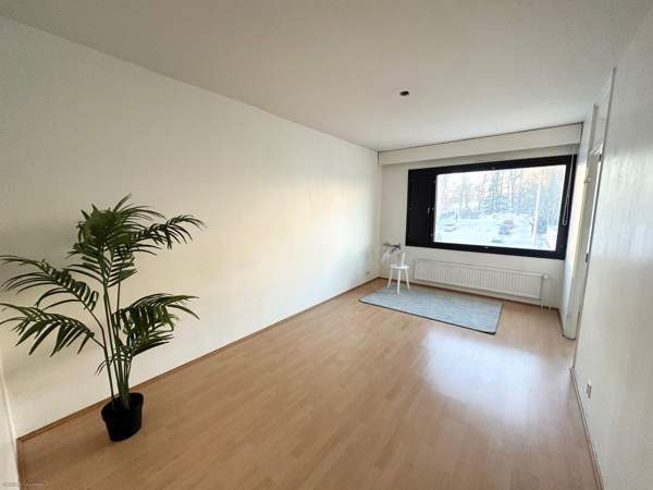 1h + keittokomero + vaatehuone + kph  Turtkul – foto 3